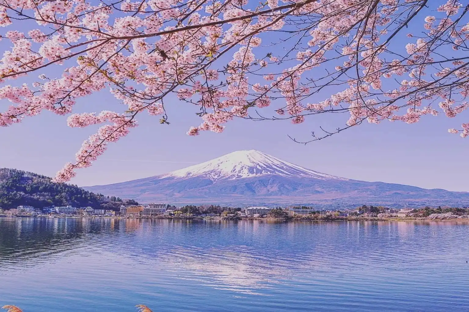 Japan Visa